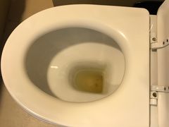 感觉没冲的马桶-香港华美达海景酒店