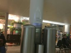 -谢列梅捷沃国际机场