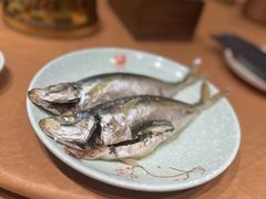 清蒸巴浪鱼-抱德·潮汕味(敦和店原惠城鱼仔)