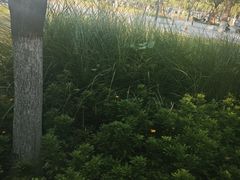 -城市运动公园(未央区)