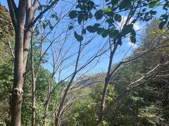 -黑龙潭风景区