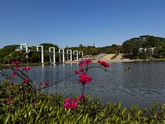 -东莞植物园
