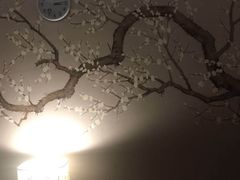 -国艺堂足疗按摩养生会馆(三亚河西路店)