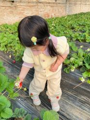 -蓝呗呗蓝莓草莓采摘园(通州区马驹桥店)