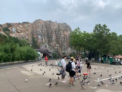 -西霞口神雕山野生动物世界