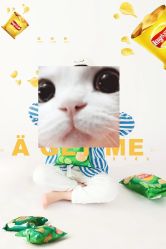 -俏宝贝照相馆(QBB儿童摄影)