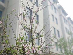 -东南大学(九龙湖校区)