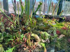 -国家植物园南园