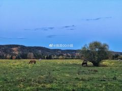 -北极村旅游风景区