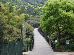 -树山生态村