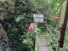 -藏龙百瀑风景区