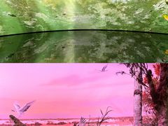 -中国湿地博物馆