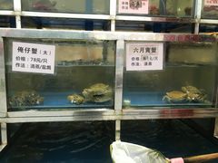 水产区-宏佳丰味蟹馆(洛溪店)