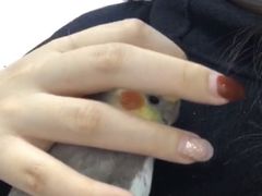 -爱侣宠医·鹦鹉专科·小型哺乳类·异宠专科(灵石路店)