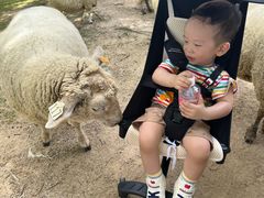 -神户市立六甲山牧场