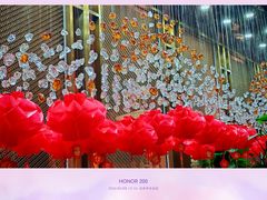 -百草滩羊清水涮羊肉·清真·宁夏盐池滩羊(莲花桥店)