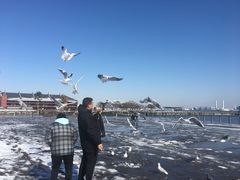 -横滨红砖仓库1号馆