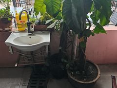 -岛中岛·海鲜大排档·万宁老字号(东澳店)