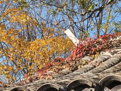 -国家植物园南园