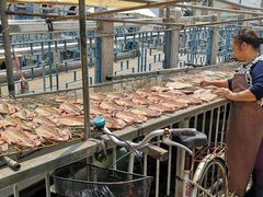 -大澳渔村及棚屋