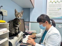 -纳吉亚猫专科动物诊疗中心(蒋宅口分院)