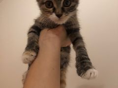 -佑安动物医院·全科·内窥镜中心(幸福巷店)