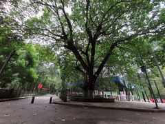 -西南交通大学(峨眉校区)