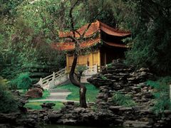 -深圳国际园林花卉博览园