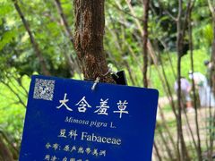 -中国科学院西双版纳热带植物园