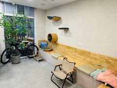 -伟伟宠物医院·CT影像中心·瑞派犬猫综合性门诊(汉口总院)