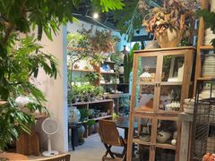 -自由生长植物工作室(深港花卉中心店)