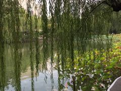 -包公祠