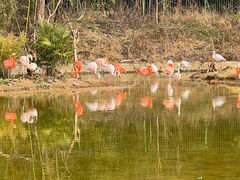 -杭州野生动物世界