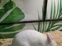 -藦茜花园宠物主题亲子互动体验馆(国顺东路店)