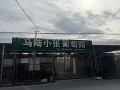 -马陆小张葡萄园农家乐