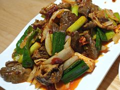 拉爆驴板肠-辛杨和·大耳朵驴肉馆(银川总店)