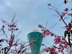 -狐尾山公园