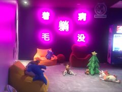 -VS SPORTS PARK运动玩乐园·团建·生日会(合生汇店)