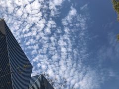 -上海山野camping·户外天幕烧烤·团建拓展营地