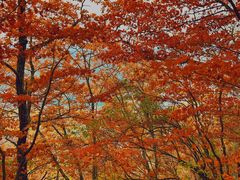 -五女山景区