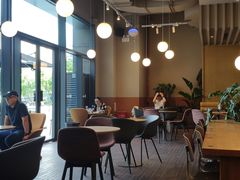 -Wagas沃歌斯(汇智店)