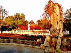 -丰台花园