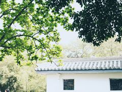 -西安青龙寺遗址景区