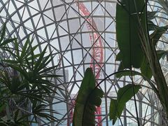 -法拉利主题公园