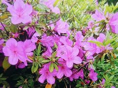 -南山风景名胜区