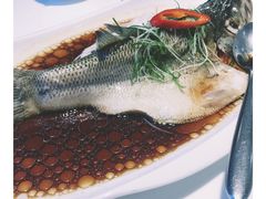 -至潮餐厅精致粤菜·活鲈鱼·走地鸡(珠江新城店)