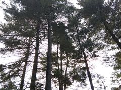 -维乐口腔医院(福清院)