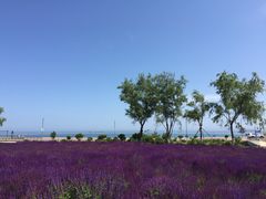 -大连外国语大学(旅顺校区)