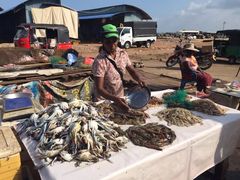 -尼甘布海鲜市场