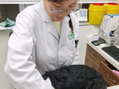 -心仪动物医院·牙专科·肿瘤·心脏科(西客站院)